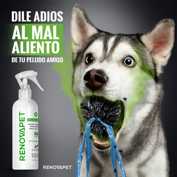 Renovapet ™ Oral 🐶 Adiós Al Sarro 😻[Pague 2 Lleve 3!]