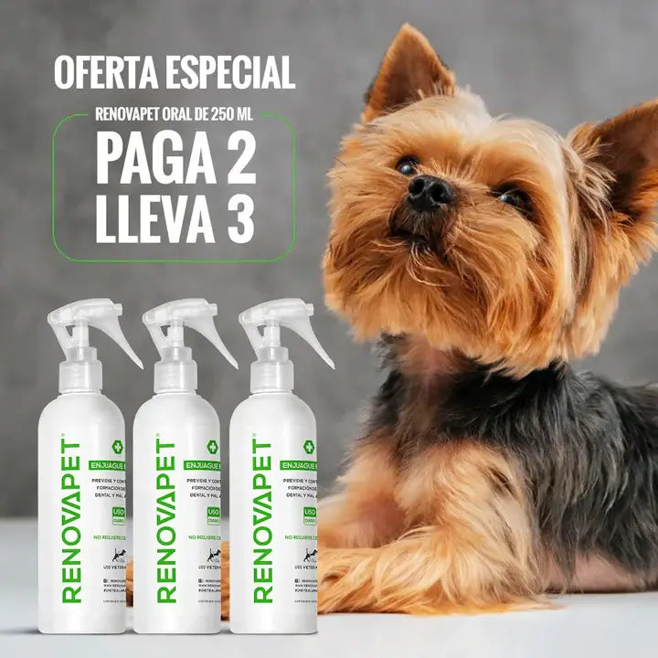 Renovapet ™ Oral 🐶 Adiós Al Sarro 😻[Pague 2 Lleve 3!]