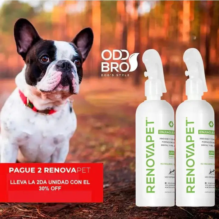 Renovapet ™ Oral 🐶 Adiós Al Sarro 😻[Pague 2 Lleve 3!]